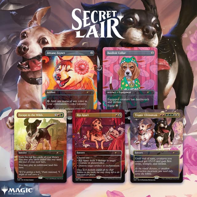 Chaos Vault - Dogs Are Better Than Cats - Non-Foil