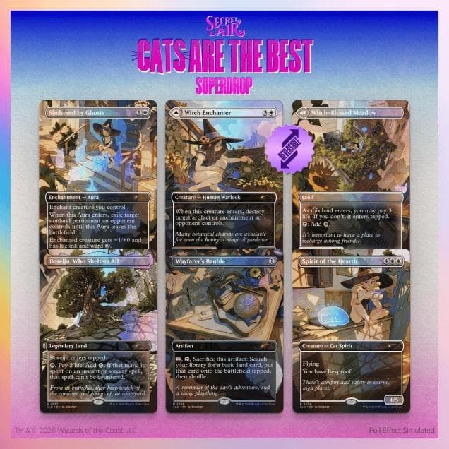 Secret Lair Drop - Witch’s Familiar - Foil